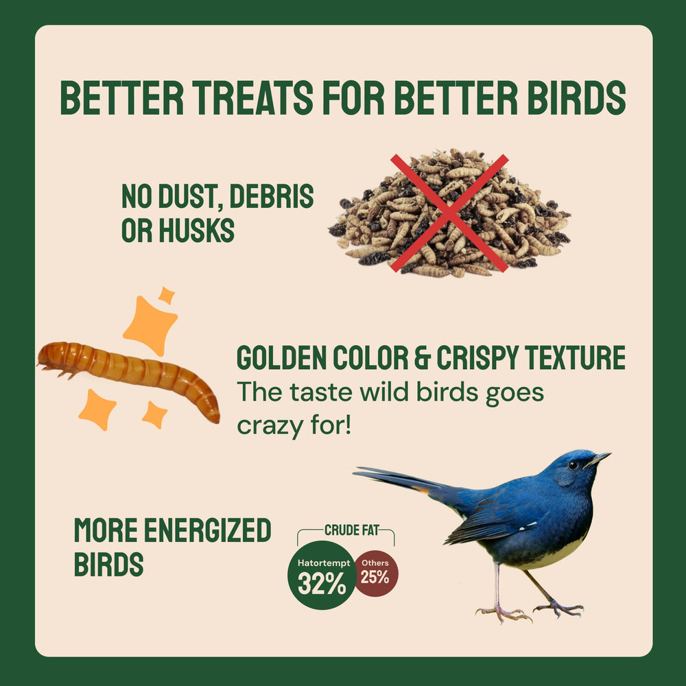 Hatortempt resealable bag keeping mealworms fresh