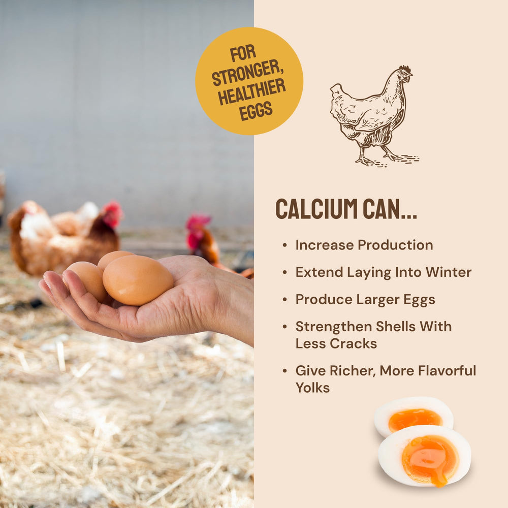 Hatortempt calcium-rich mix supports stronger eggshells and yolk development.