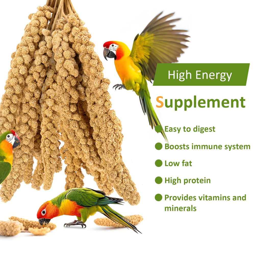 Hatortop foraging millet enrichment invites curiosity and engagement.