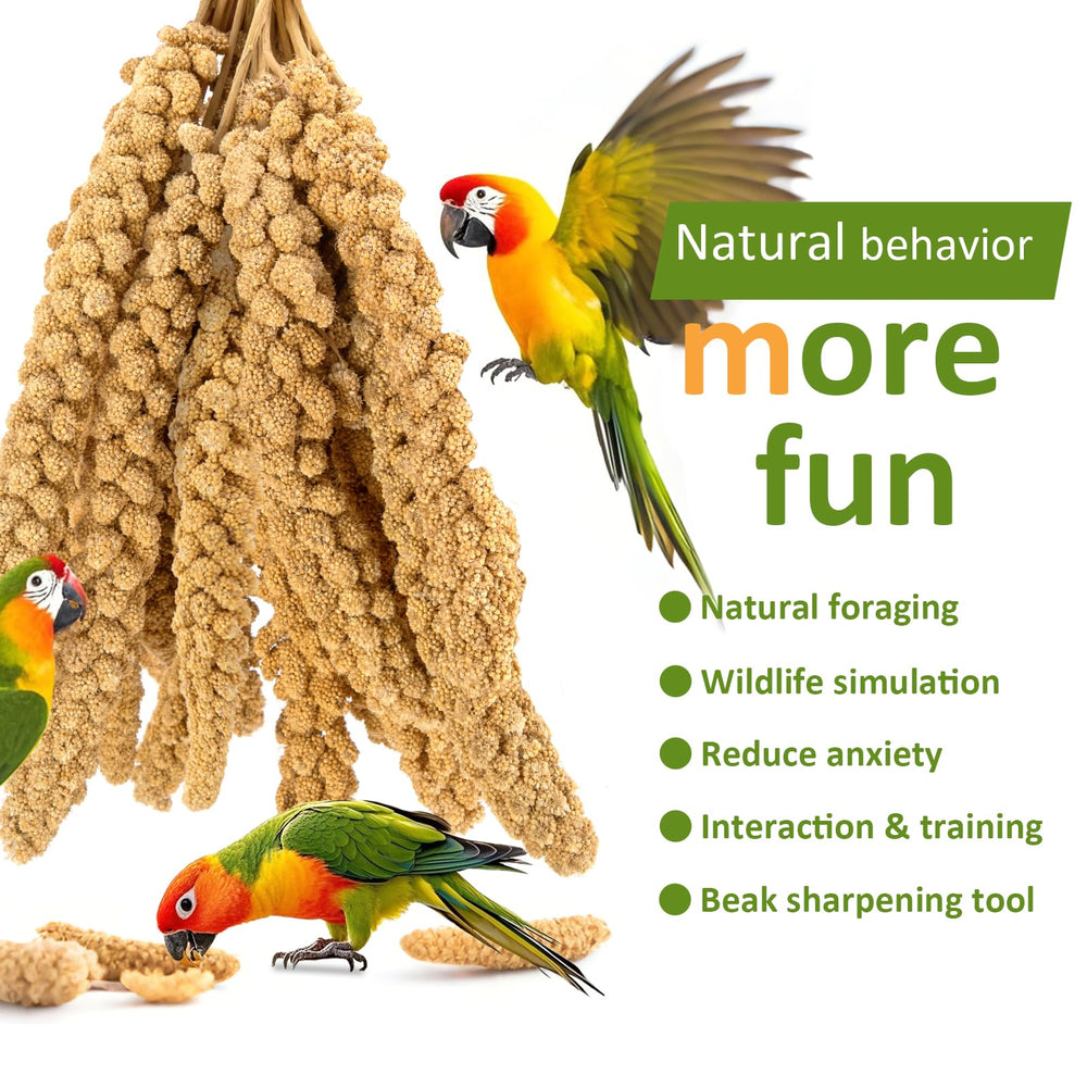 Hatortop millet treat for parrots and lovebirds supports playful feeding.