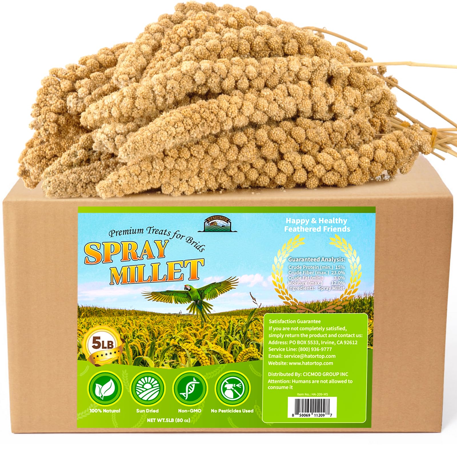 Hatortop 100% pesticide-free millet supports a healthy feeding routine.