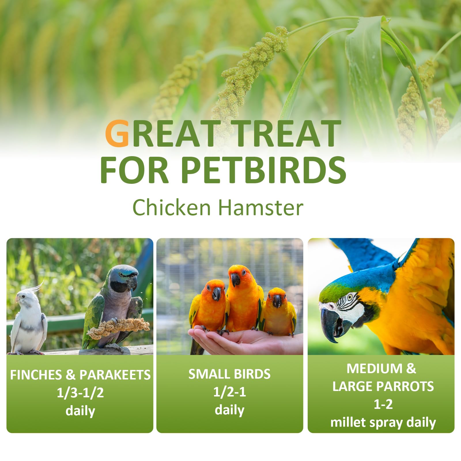 Hatortop non-GMO millet presents a safe, natural snack for birds.