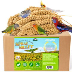 Hatortop Spray Millet for Birds 5lb bag shows a healthy, energy-boosting treat.