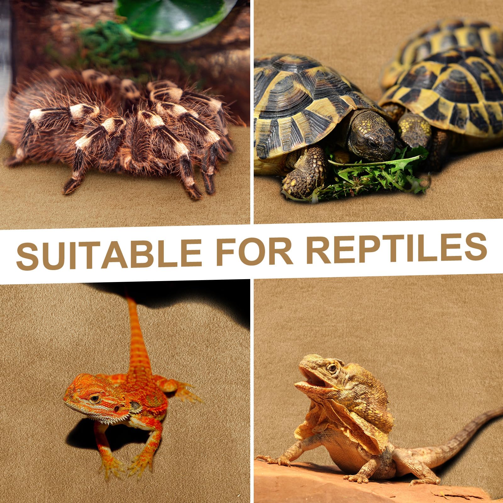 Haull reptile carpet absorbent layer helps manage minor spills in terrarium.
