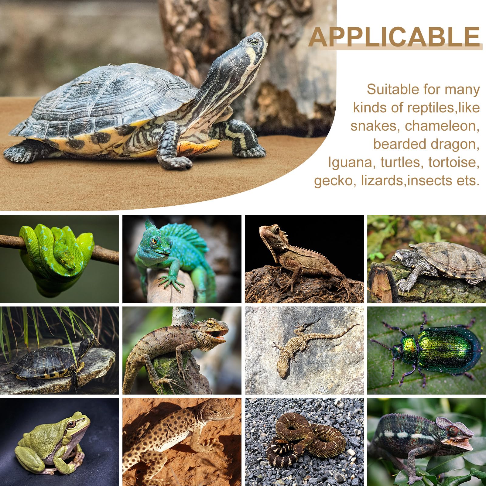 Haull reptile carpet durable mat protects terrarium floors over time.