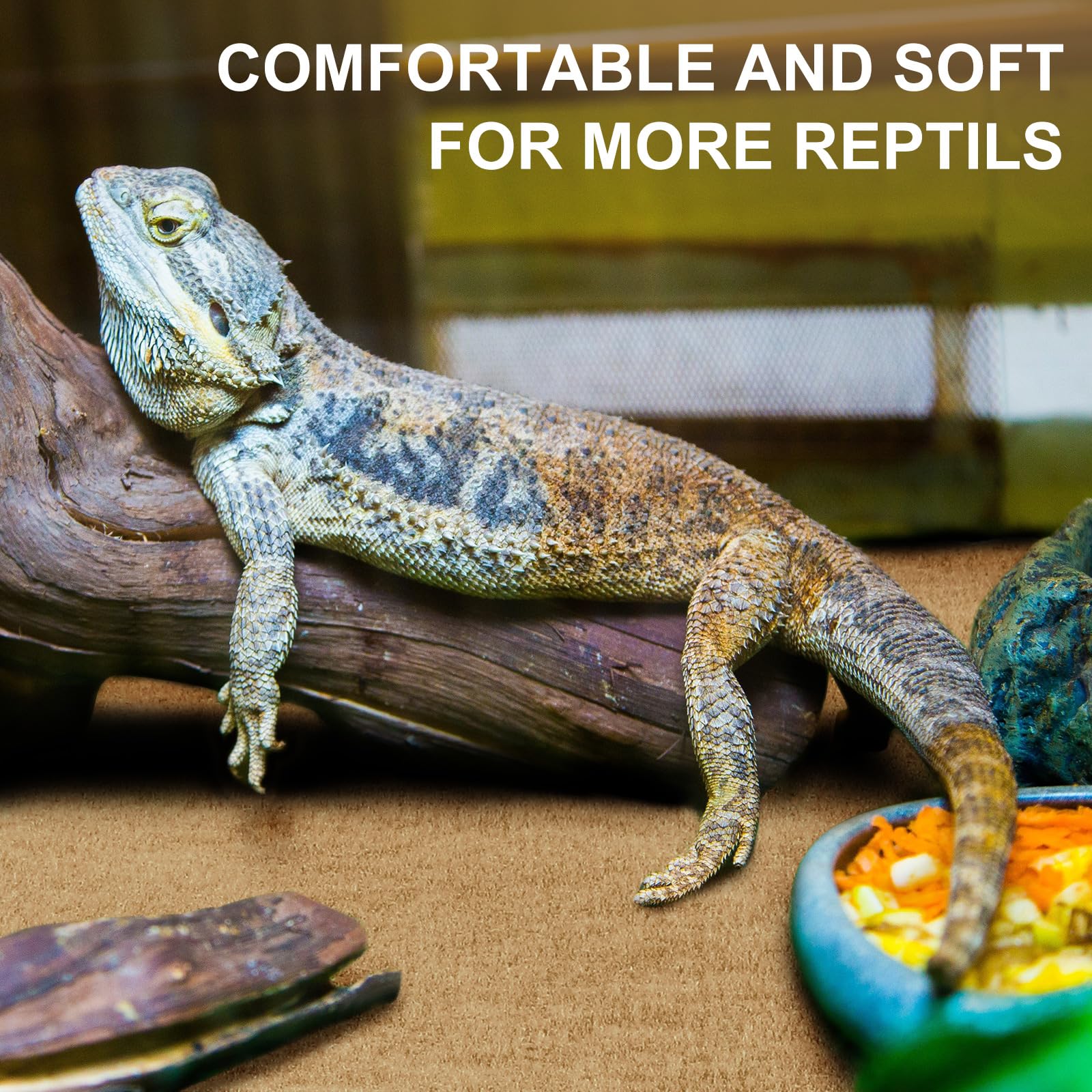 Haull reptile carpet easy-cleaning surface simplifies maintenance after use.