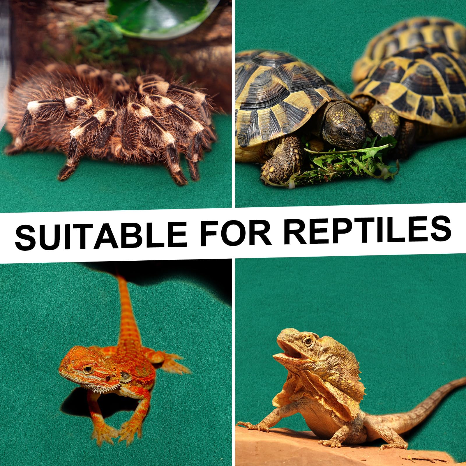 Haull reptile carpet cut-to-fit demo for different tank sizes