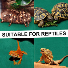 Haull reptile carpet cut-to-fit demo for different tank sizes