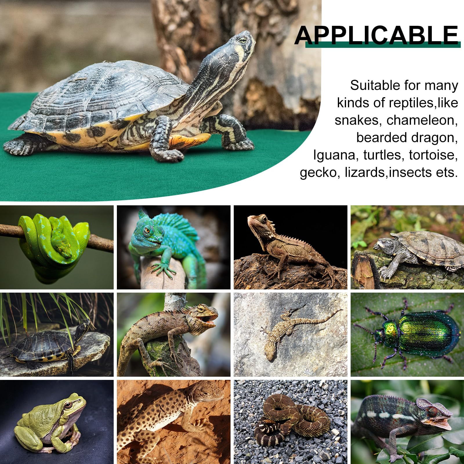 Haull reptile carpet soft texture close-up highlighting gentle bedding