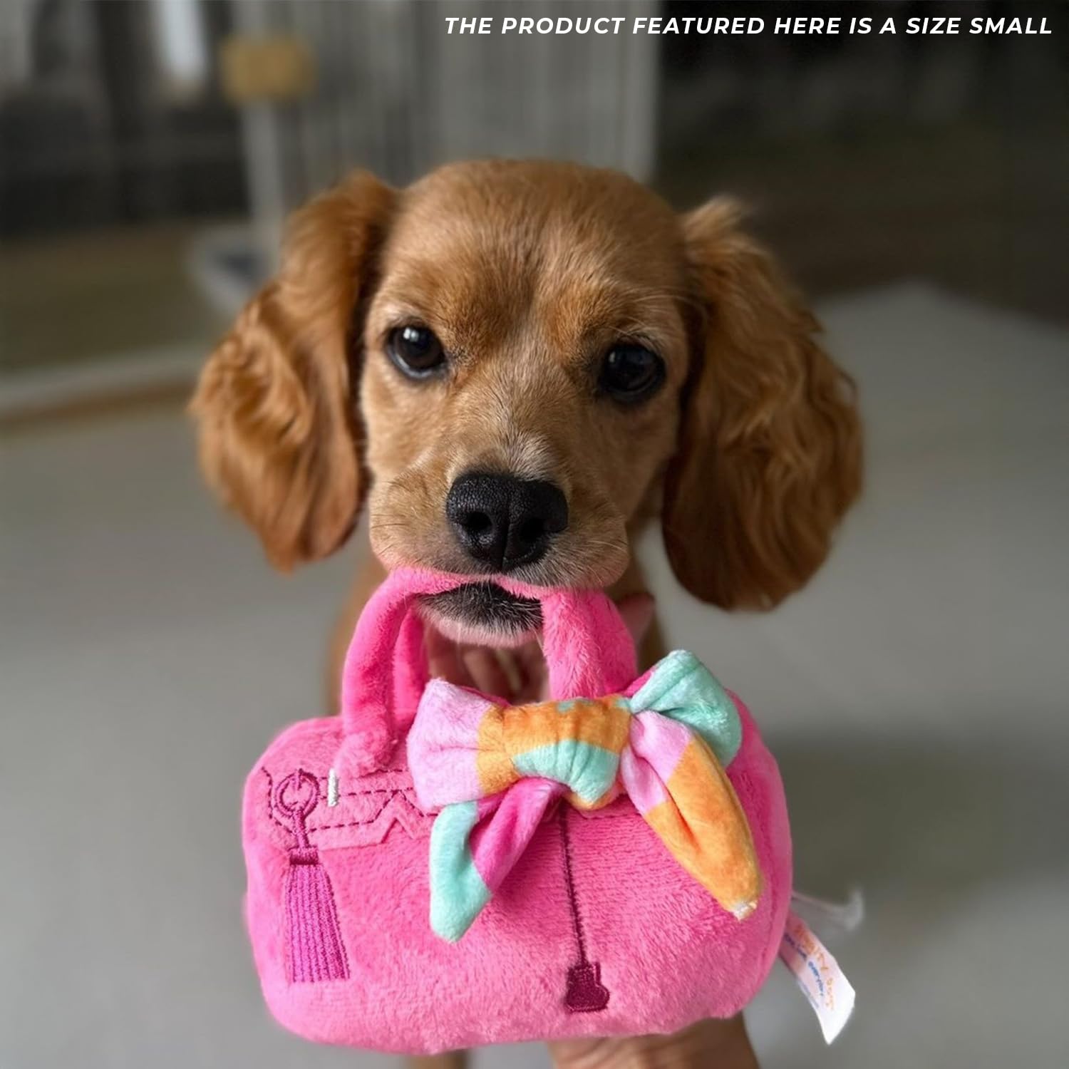 Action shot demonstrates Barkin Bag during playtime.