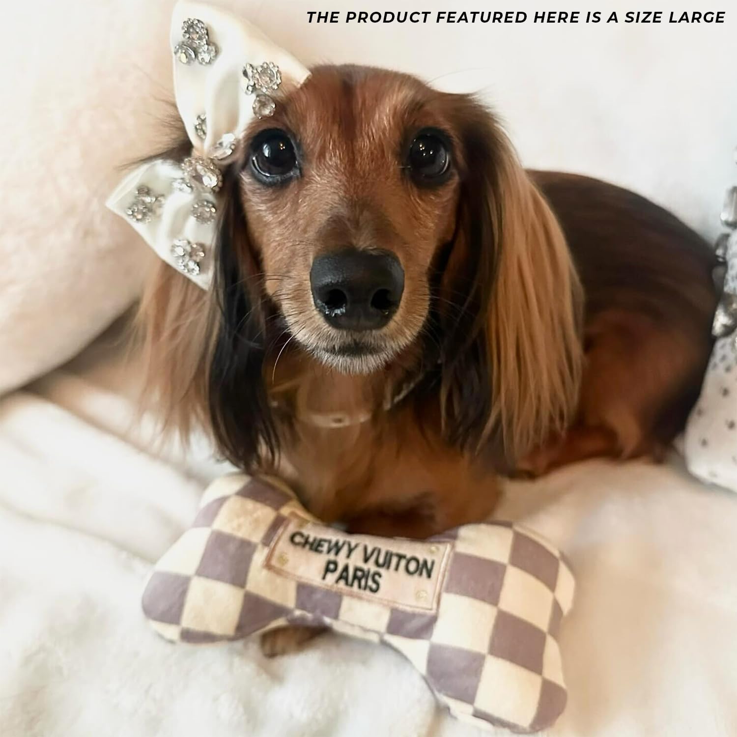 Sized for small to medium dogs with easy to carry charm.