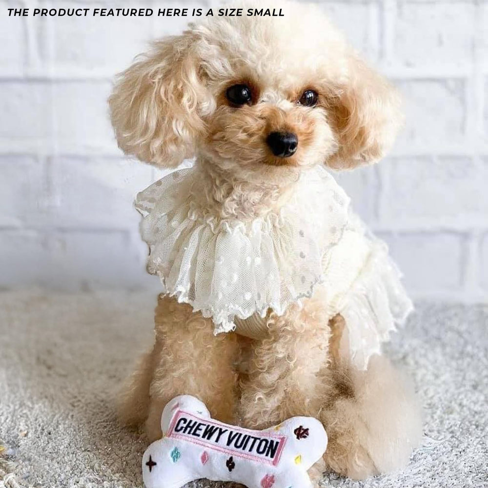 Haute Diggity Dog Chewy Vuiton Bone toy ready for playtime