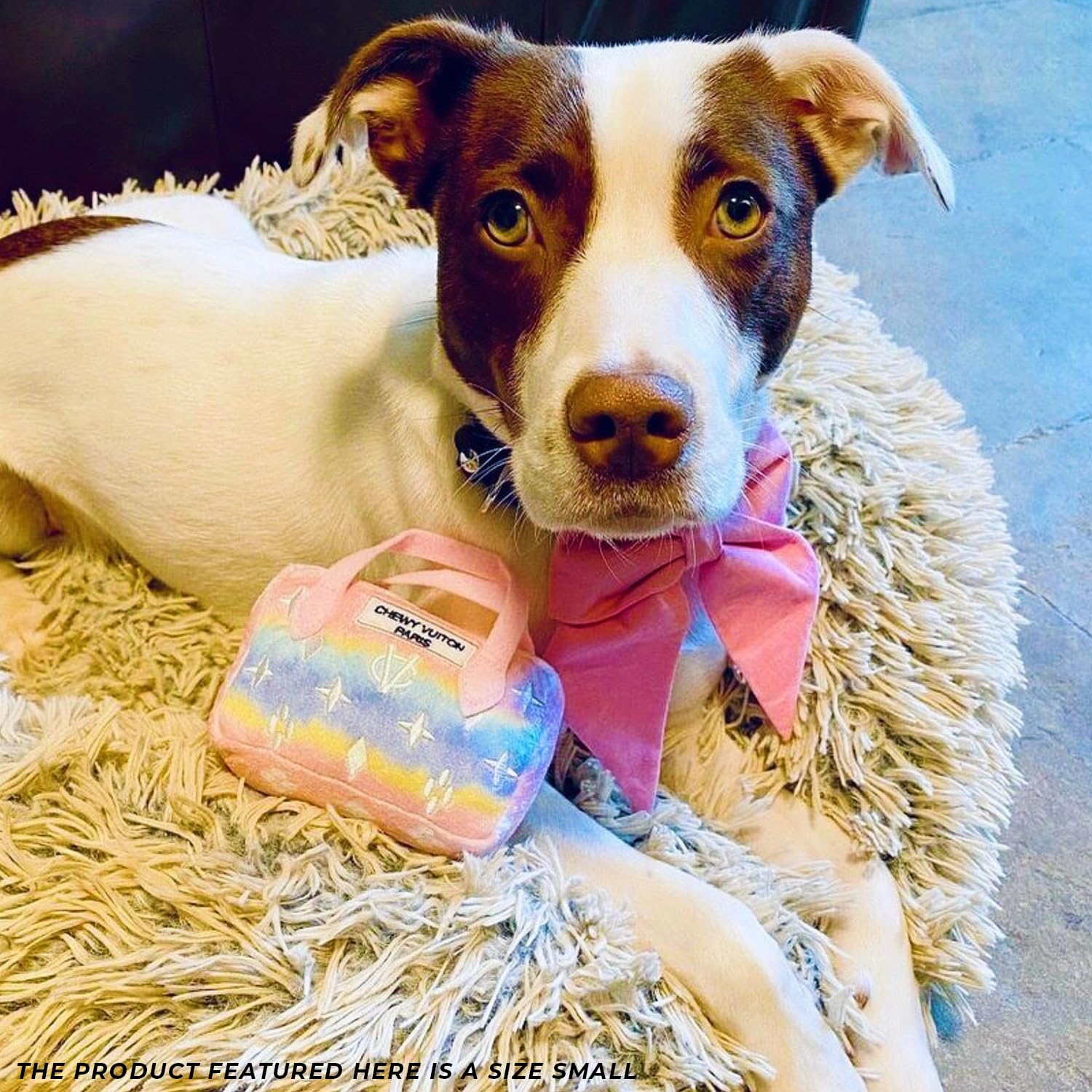 Haute Diggity Dog tug-o-war image highlights playful design and pink ombre style.