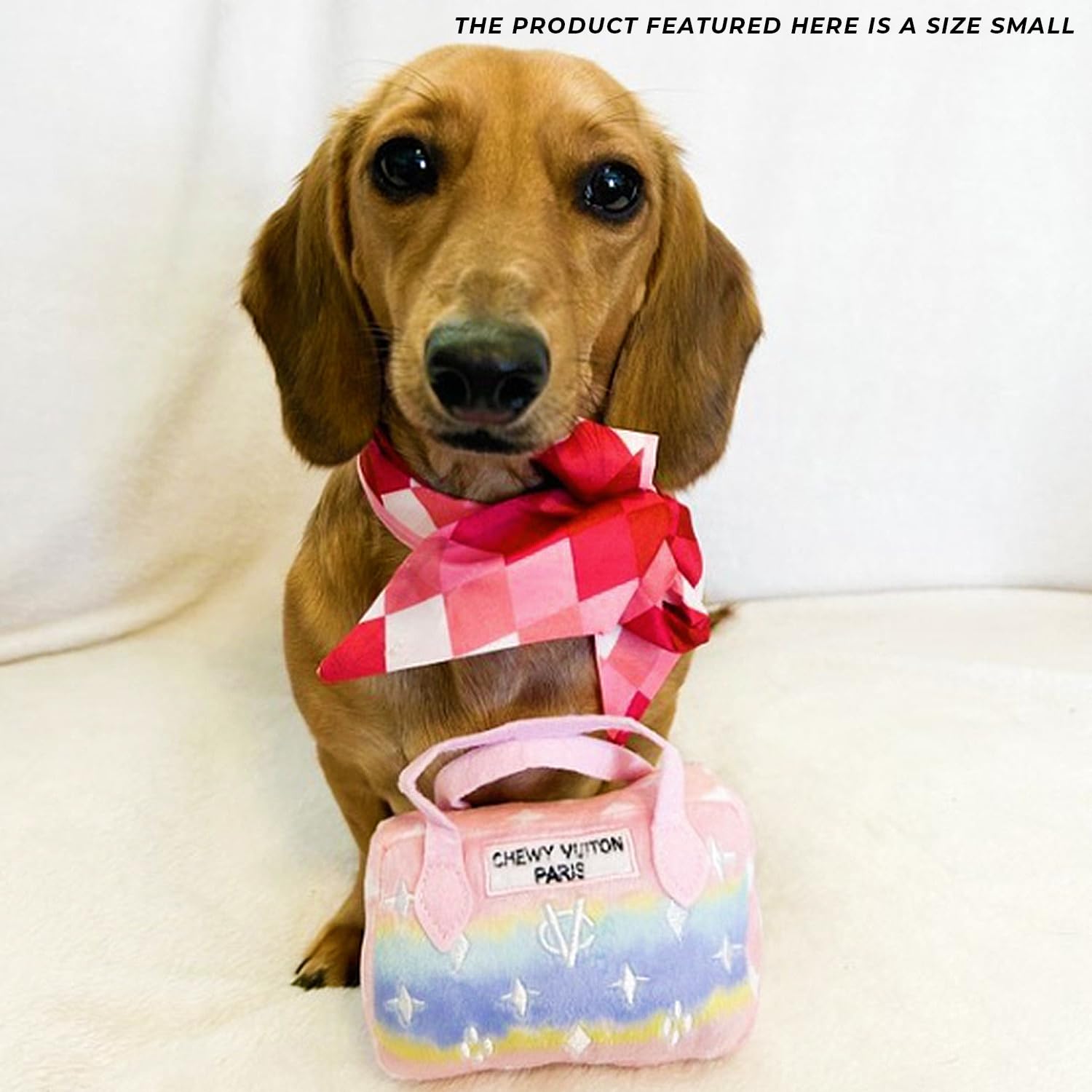 Haute Diggity Dog machine-washable care label visible for easy cleaning.