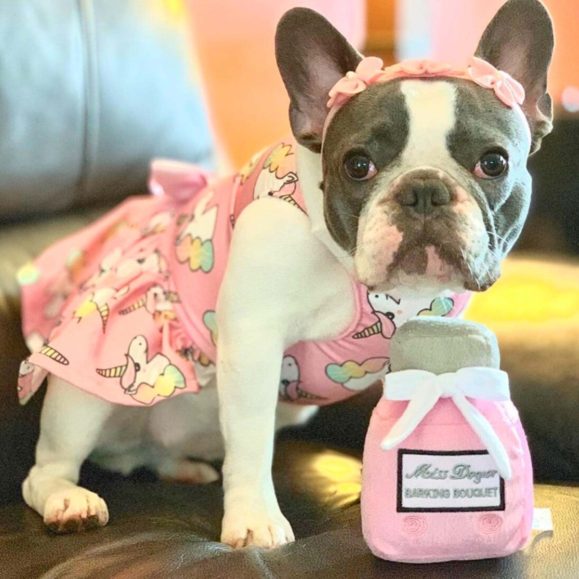 Soft premium Miss Dogior plush supports cuddling, fetch, and tug sessions