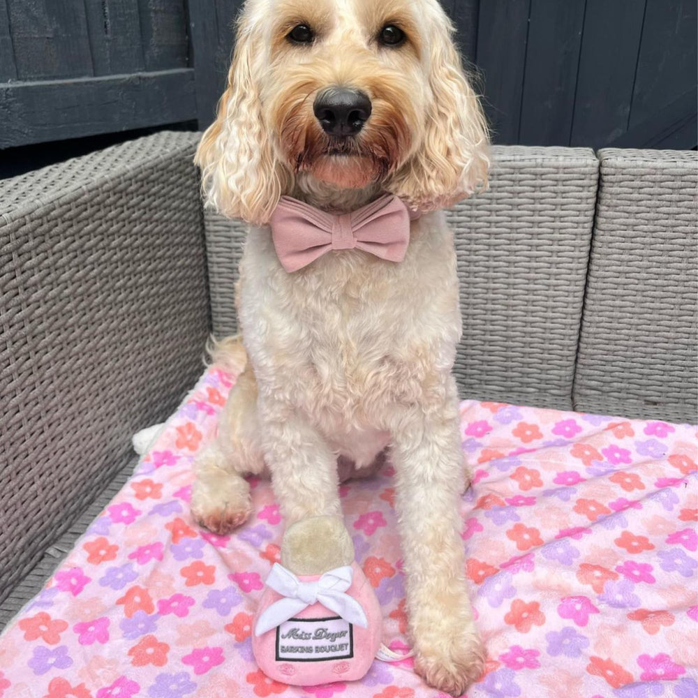 Machine-washable Miss Dogior plush for quick cleanup after playful adventures