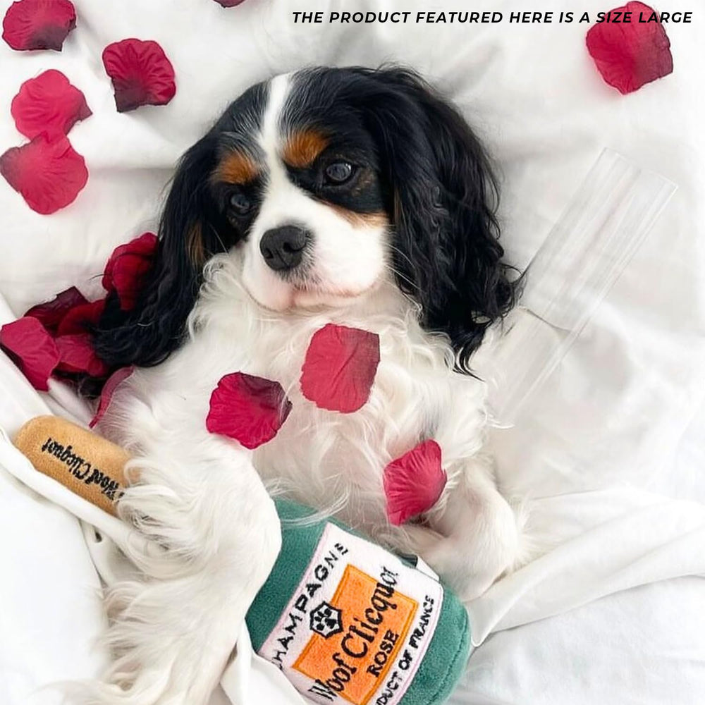 Haute Diggity Dog Woof Clicquot Rose ready for park play and daily exercise.