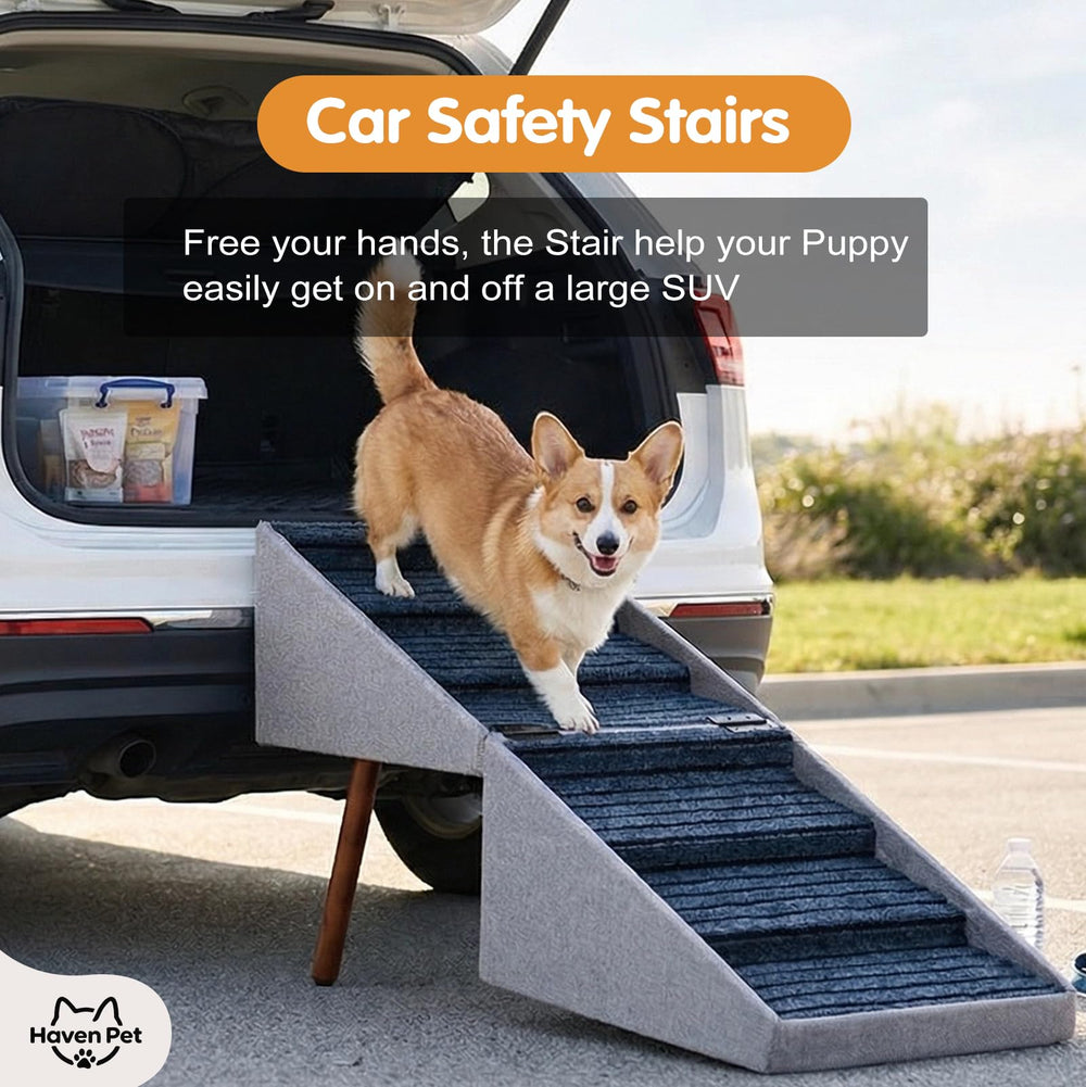 Haven Pet reduces jump strain for elderly dogs and cats.