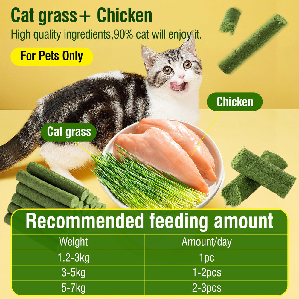 HavenJanny cat grass teething stick closeup grass highlights natural ingredients cats love