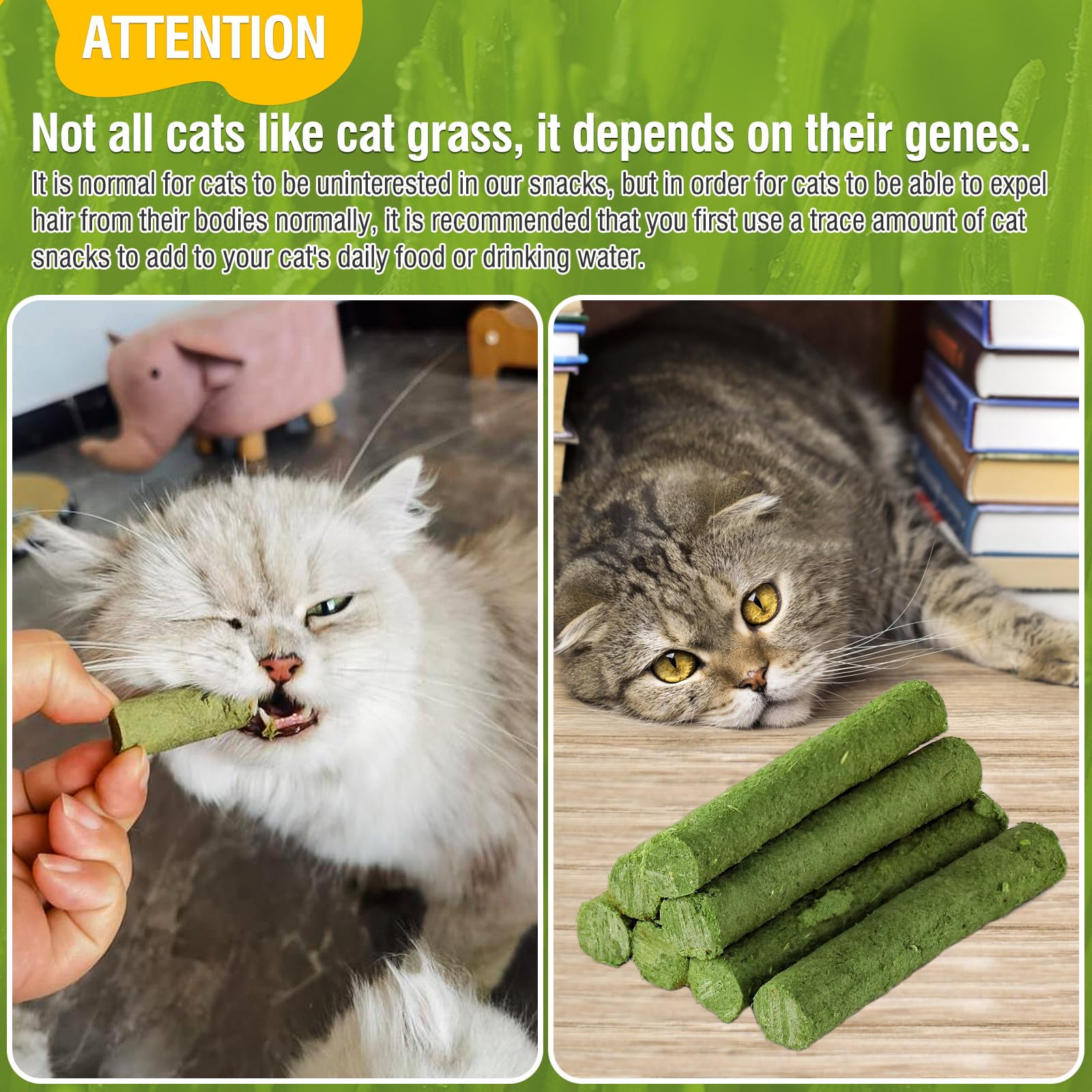 HavenJanny cat grass teething stick crispy texture preserves crunch for dental treats