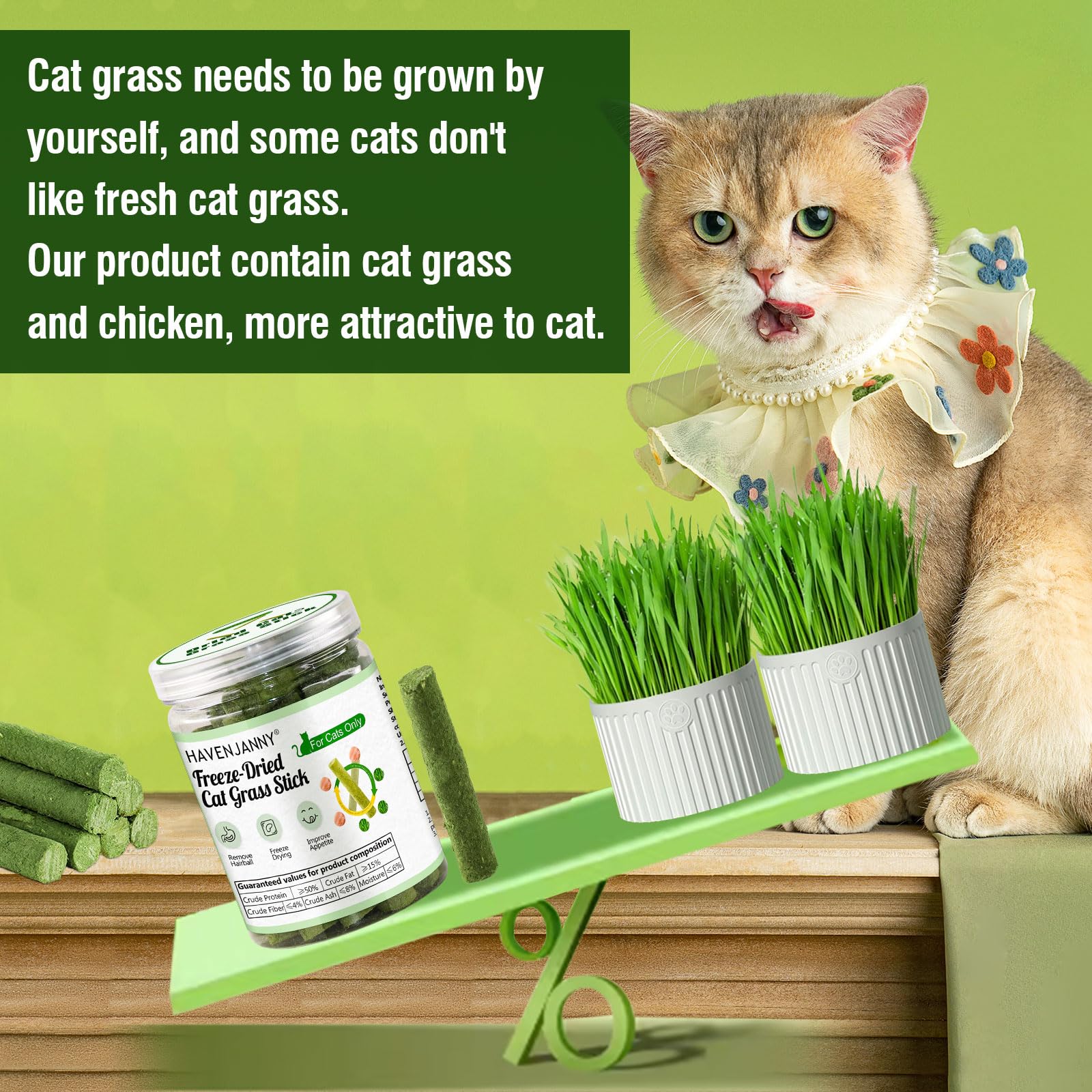 HavenJanny cat grass teething stick plant fiber may support dental care