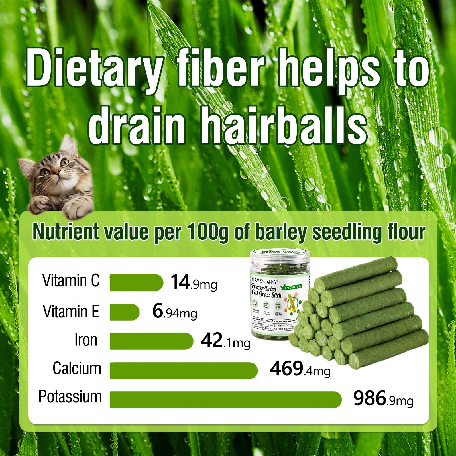 HavenJanny cat grass teething stick designed for indoor cats seeking a tasty, healthy snack