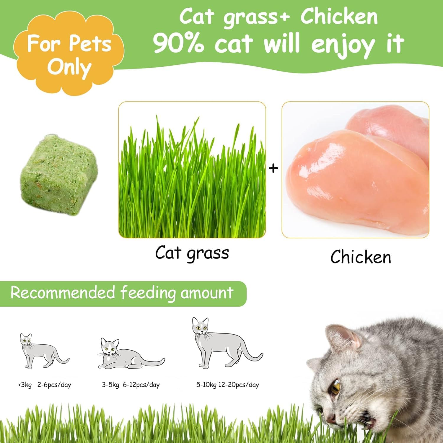 HavenJanny cat grass teething sticks ideal for early teething comfort.