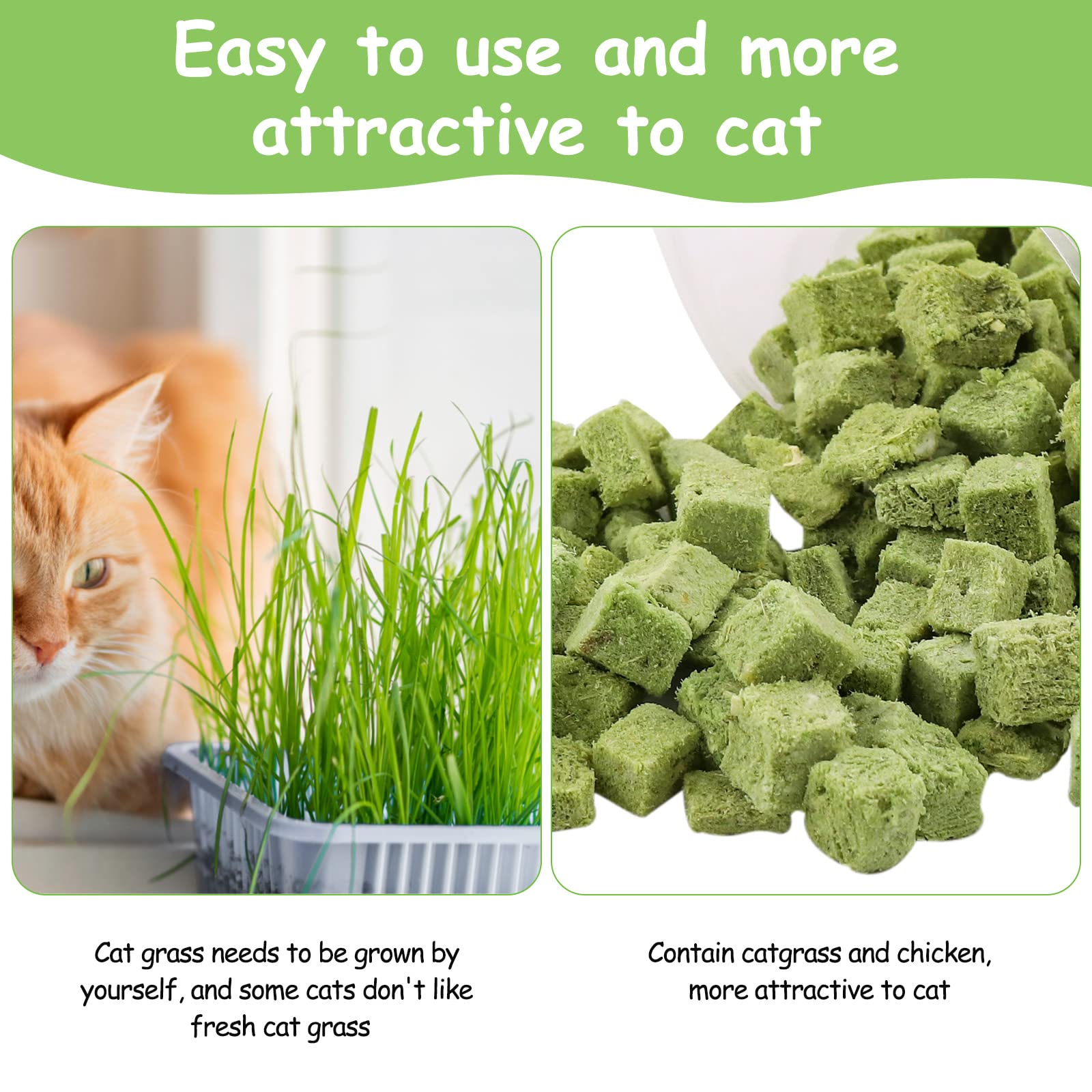 HavenJanny cat grass treats may freshen breath and support chewing.