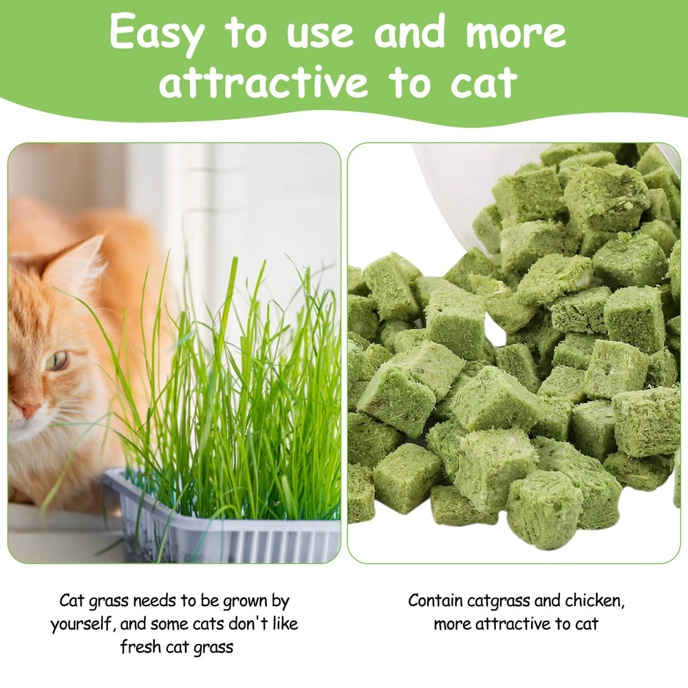 HavenJanny cat grass treats may freshen breath and support chewing.