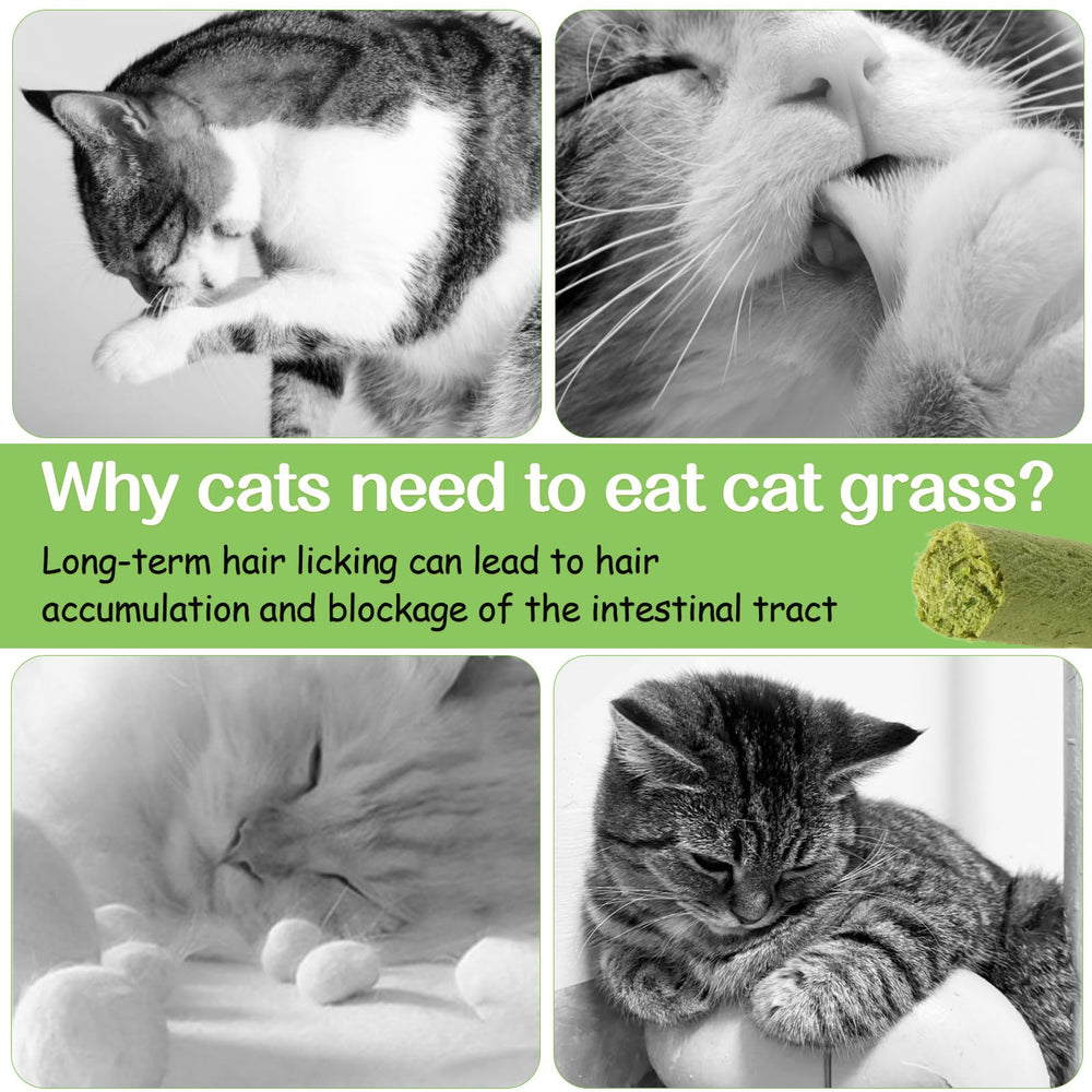 HavenJanny chicken-flavored cat treat close-up highlights flavor many cats enjoy
