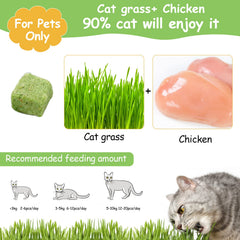 HavenJanny freeze-dried cat grass sticks, easy-to-eat snack.