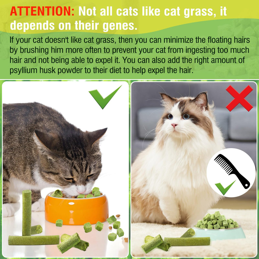 HavenJanny packaging safety cat treats image conveying quality and care