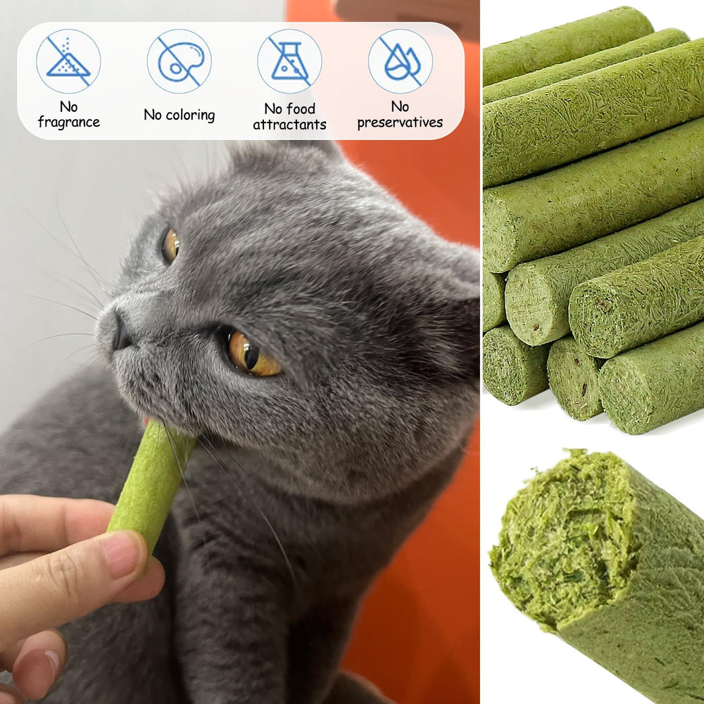 HavenJanny training reward cat snack ideal for positive reinforcement