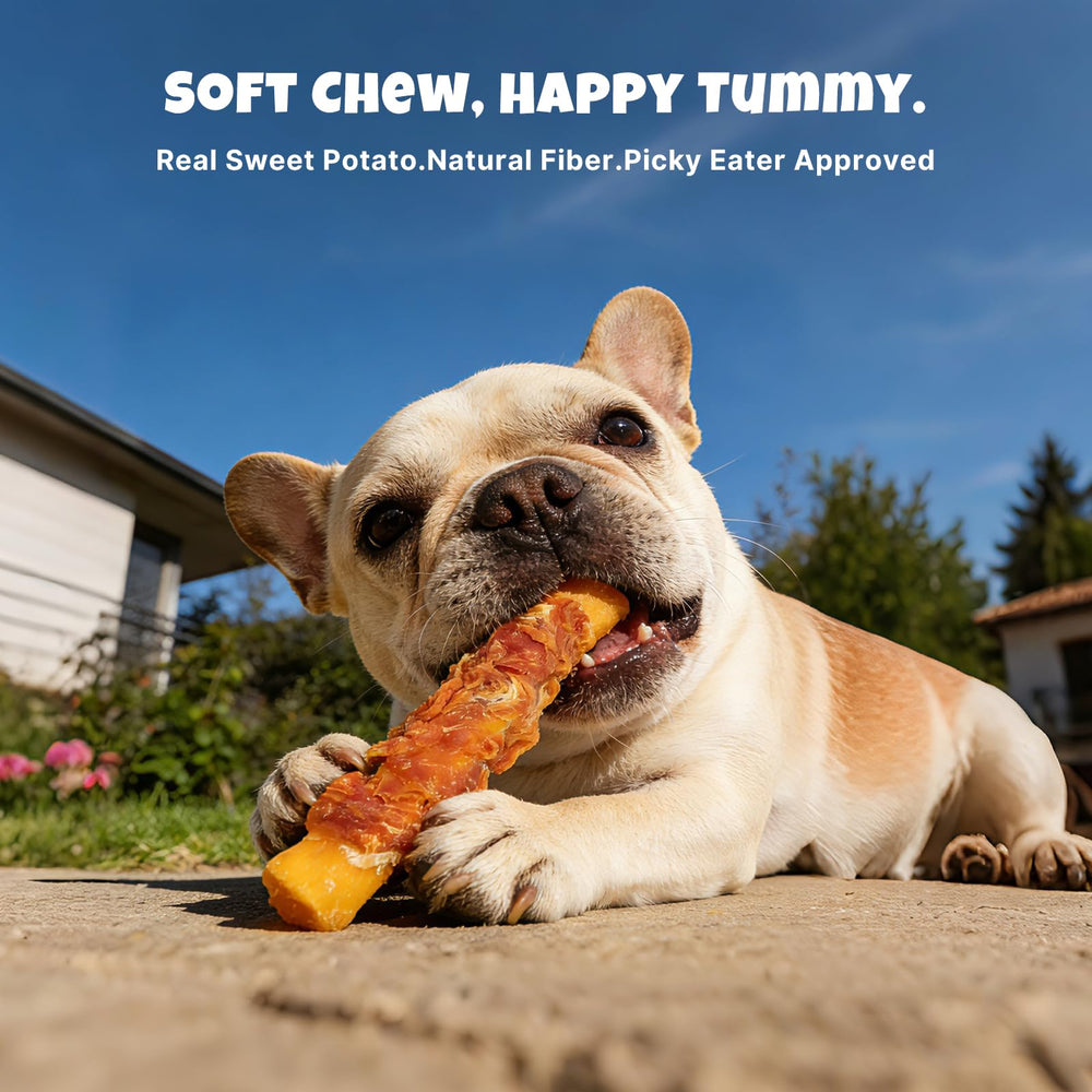 Havira digestive-friendly fiber snack supporting gentle digestion and tummy comfort.