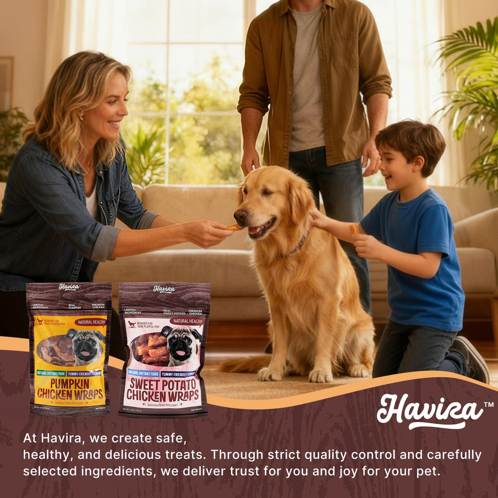 Havira flavorful sweet potato chicken for picky dogs craving real-food taste.
