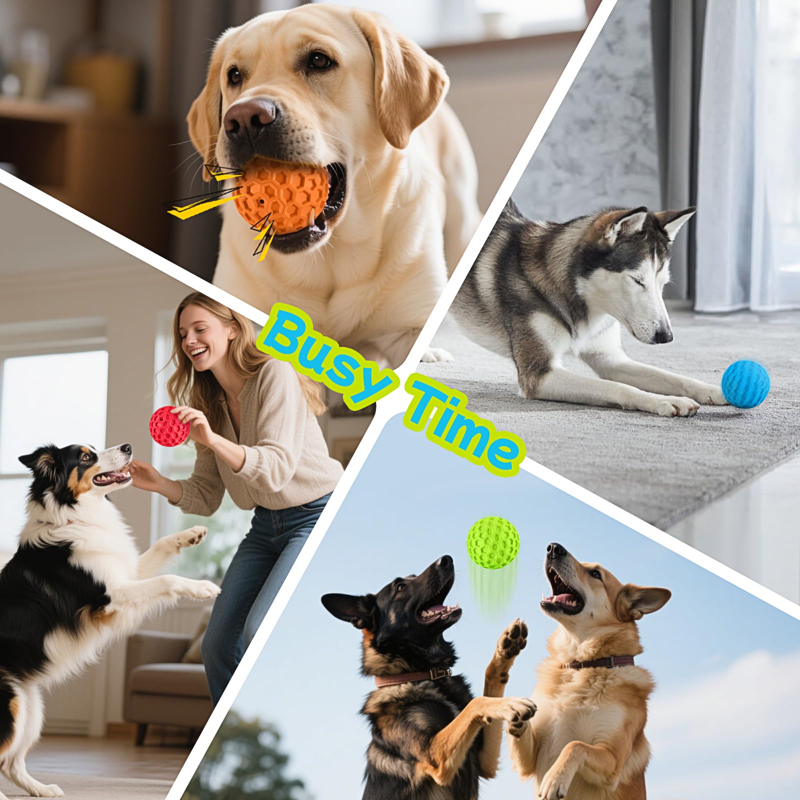 Havit gift dog toy; ideal birthday or holiday present for active dogs