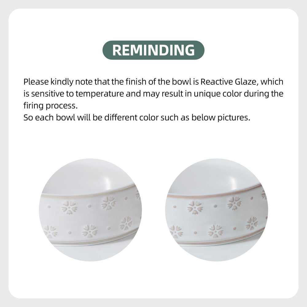 Havniva 7.3-inch diameter ceramic bowl holds 5 cups