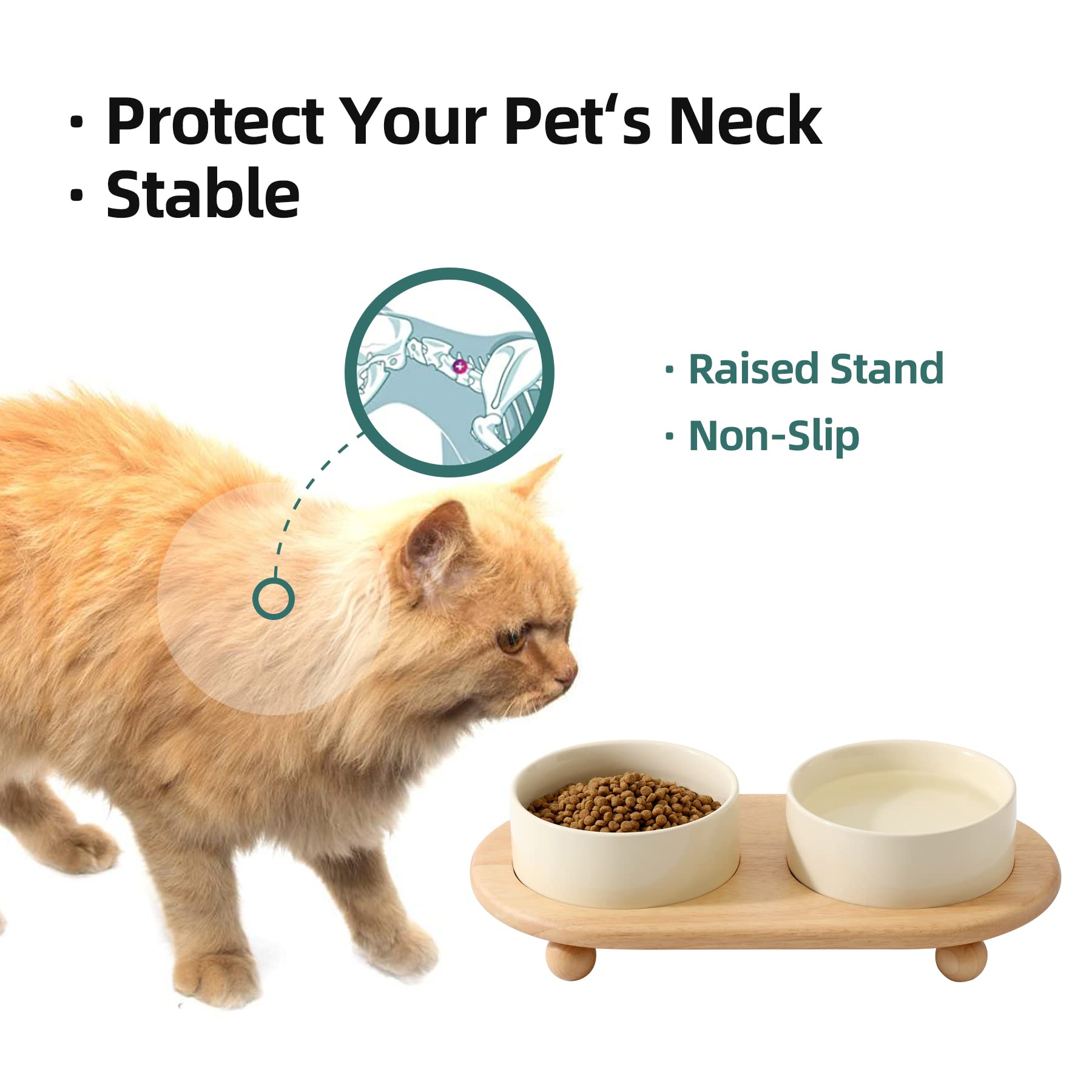 Havniva 13oz capacity bowl handles dry or wet food and water.