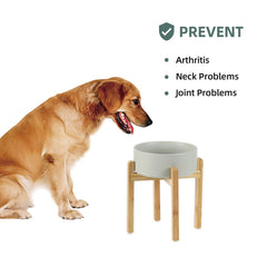 Havniva lead-free ceramic bowls offer safe, durable, heat-resistant dining for pets.