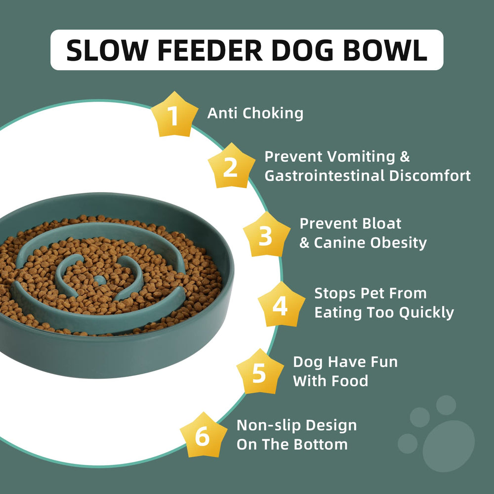 Dog eats slowly from the Havniva ceramic bowl highlighting pacing