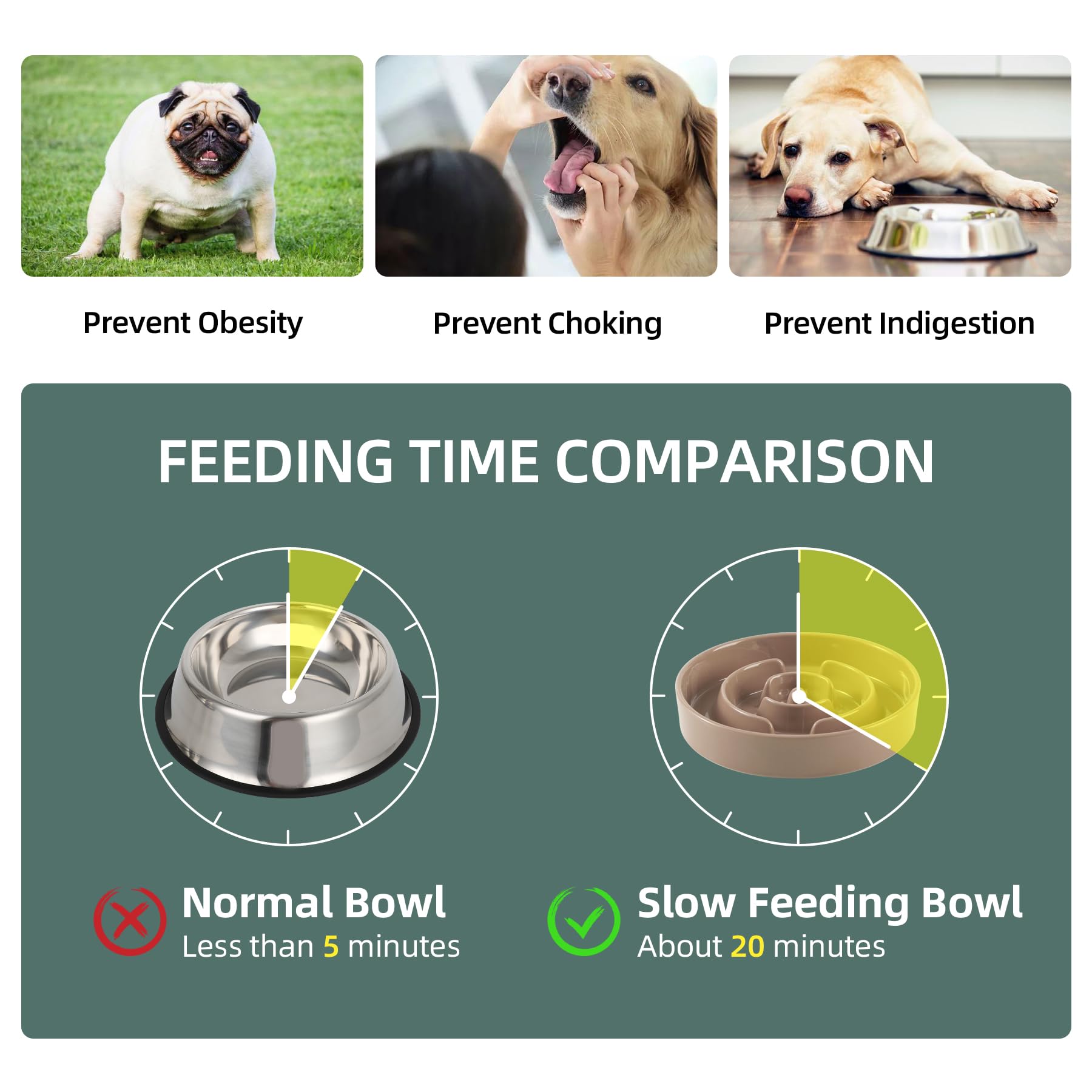Havniva ceramic bowl in use guiding your dog to eat at a measured pace.