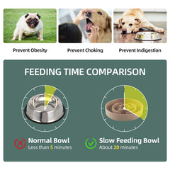 Havniva ceramic bowl in use guiding your dog to eat at a measured pace.