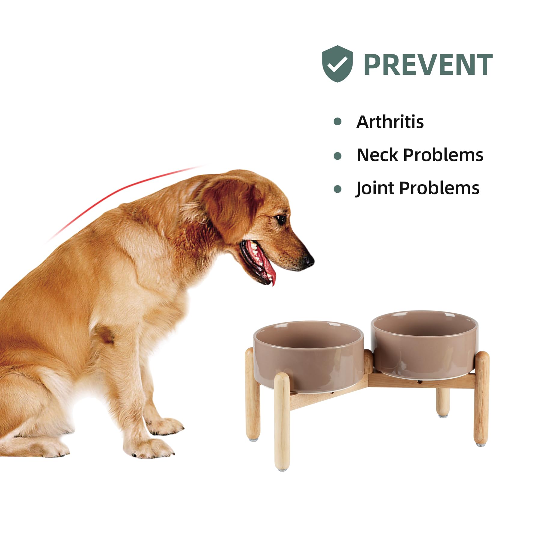 Havniva wooden stand elevates feeding, supporting better posture for mid-size dogs.