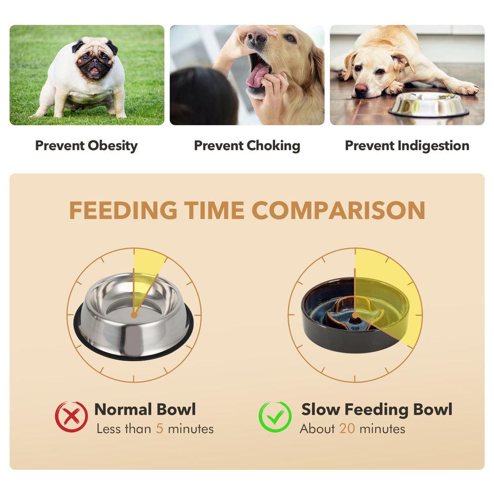 Havniva chew proof ceramic design reduces plastic ingestion risk.