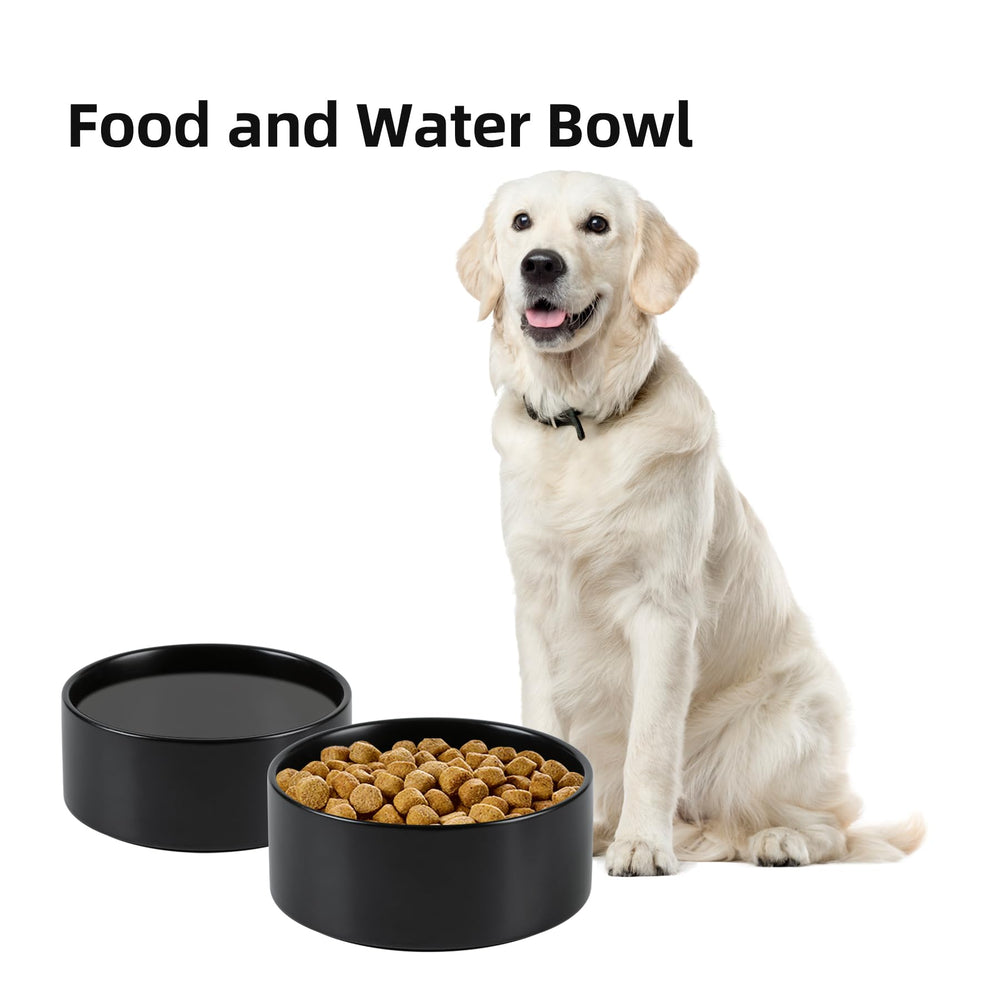 Havniva ceramic dog bowl dishwasher-safe closeup showing easy sanitation.