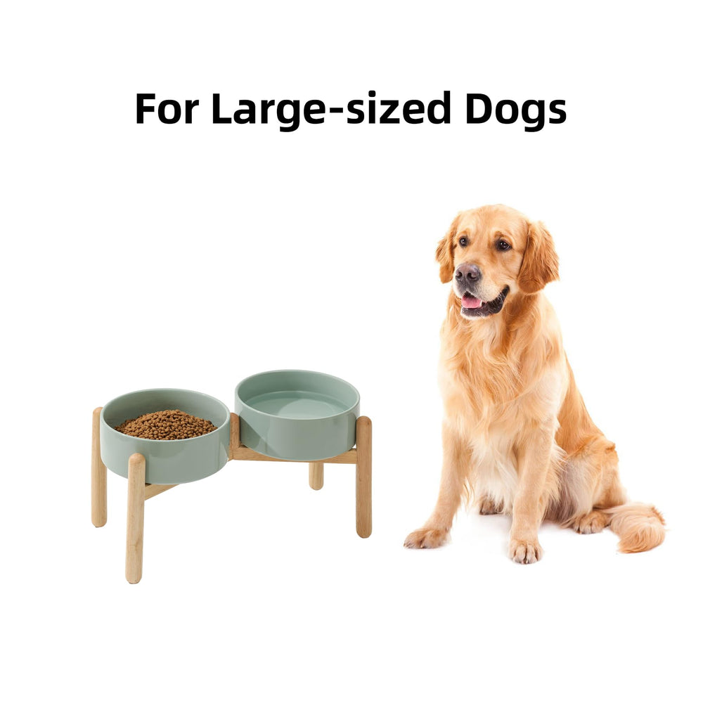 Havniva dog eating with stand demonstrating ergonomic feeding posture.