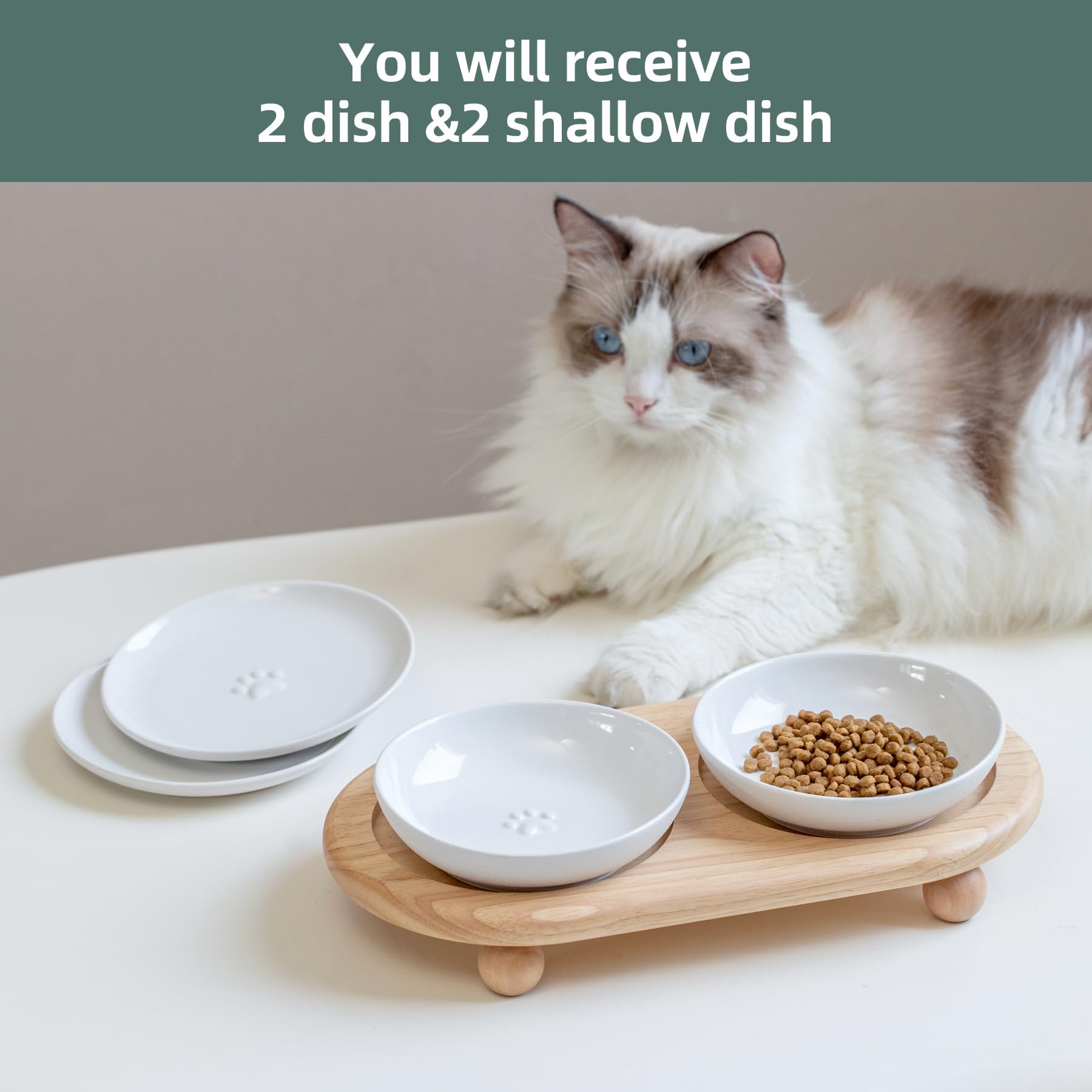 Havniva elevated bowls fit seamlessly into home decor while supporting mealtime comfort.