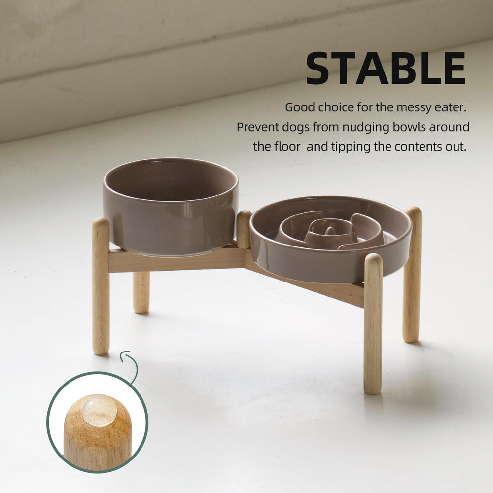 Havniva elevated feeding setup supports comfortable posture during meals.