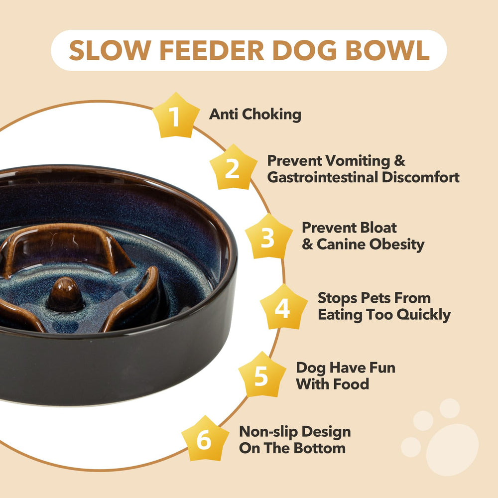 Havniva elevated bowls provide tidy, enjoyable mealtimes for pets.