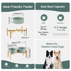 Havniva raised ceramic food bowls designed for easy access